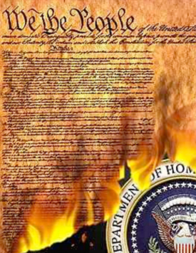 constitution_burns